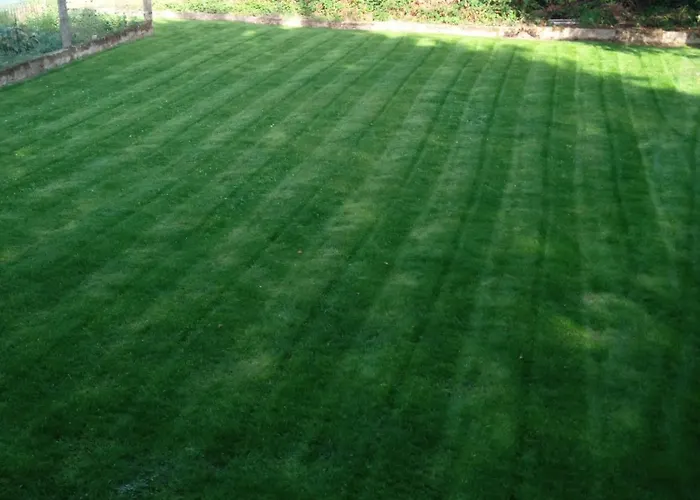 Clenoliette Cerfontaine